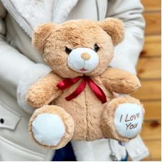 Teddy Bear 